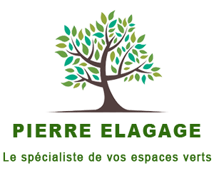 Pierre Elagage 